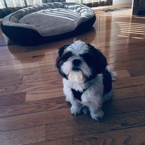 Meet your Posher, Eliana